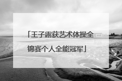 王子露获艺术体操全锦赛个人全能冠军