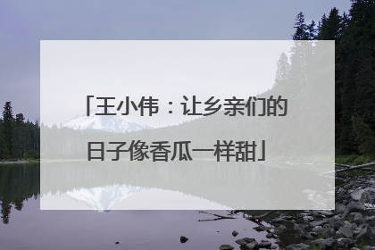 王小伟：让乡亲们的日子像香瓜一样甜