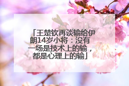 王楚钦再谈输给伊朗14岁小将：没有一场是技术上的输，都是心理上的输