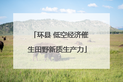 环县 低空经济催生田野新质生产力