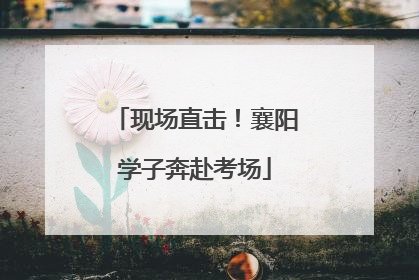 现场直击！襄阳学子奔赴考场