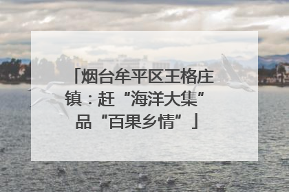 烟台牟平区王格庄镇：赶“海洋大集” 品“百果乡情”