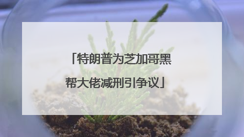 特朗普为芝加哥黑帮大佬减刑引争议