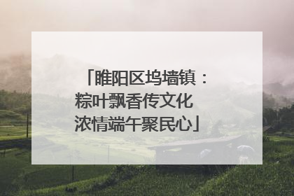 睢阳区坞墙镇：粽叶飘香传文化 浓情端午聚民心