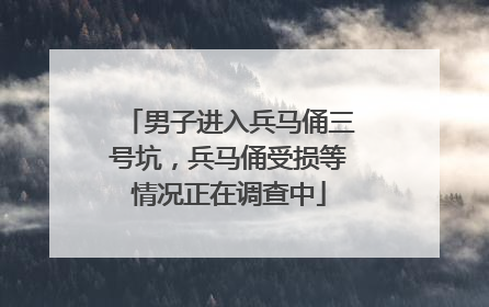 男子进入兵马俑三号坑，兵马俑受损等情况正在调查中
