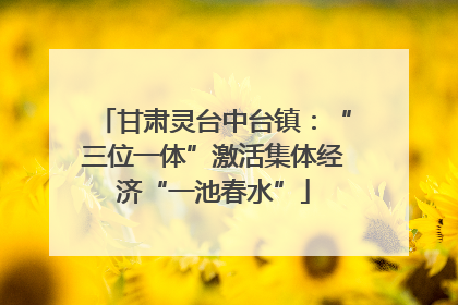 甘肃灵台中台镇：“三位一体”激活集体经济“一池春水”