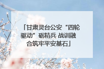 甘肃灵台公安“四轮驱动”砺精兵 战训融合筑牢平安基石