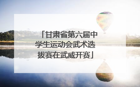 甘肃省第六届中学生运动会武术选拔赛在武威开赛