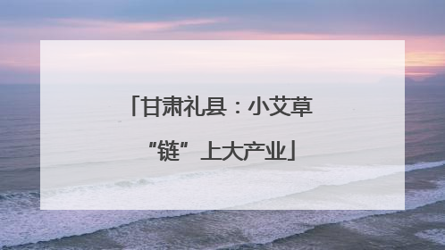 甘肃礼县：小艾草“链”上大产业