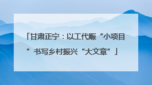 甘肃正宁：以工代赈“小项目”书写乡村振兴“大文章”