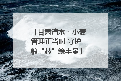 甘肃清水：小麦管理正当时 守护粮“芯”绘丰景