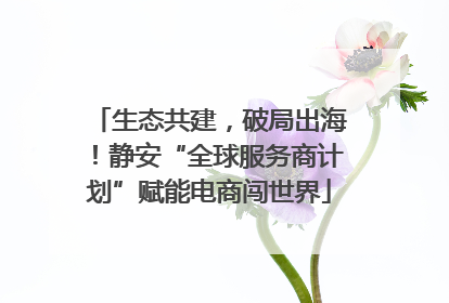 生态共建，破局出海！静安“全球服务商计划”赋能电商闯世界