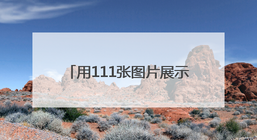 用111张图片展示国际友城往来成就