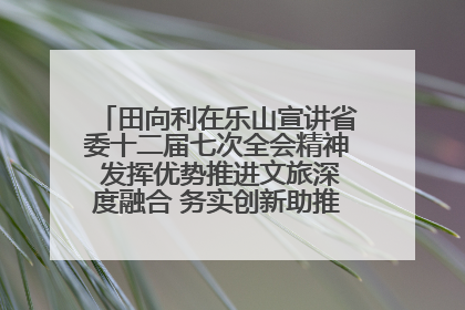 田向利在乐山宣讲省委十二届七次全会精神 发挥优势推进文旅深度融合 务实创新助推高质量发展