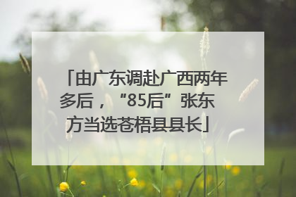 由广东调赴广西两年多后，“85后”张东方当选苍梧县县长