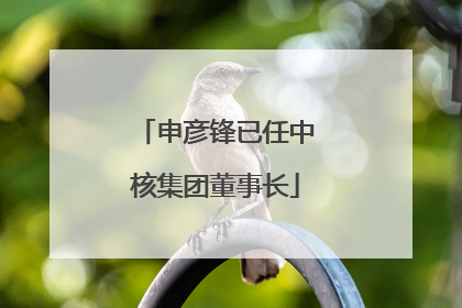 申彦锋已任中核集团董事长