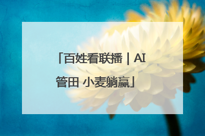 百姓看联播｜AI管田 小麦躺赢