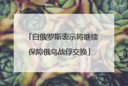 白俄罗斯表示将继续保障俄乌战俘交换