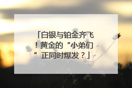 白银与铂金齐飞！黄金的“小弟们”正同时爆发？