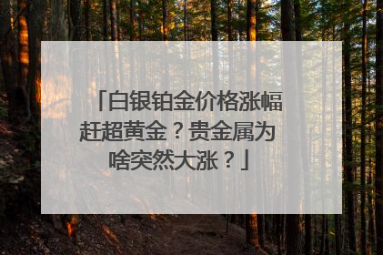 白银铂金价格涨幅赶超黄金？贵金属为啥突然大涨？