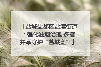 盐城盐都区盐渎街道：强化油烟治理 多措并举守护“盐城蓝”
