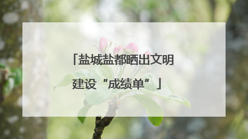 盐城盐都晒出文明建设“成绩单”