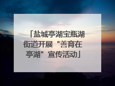 盐城亭湖宝瓶湖街道开展“善育在亭湖”宣传活动