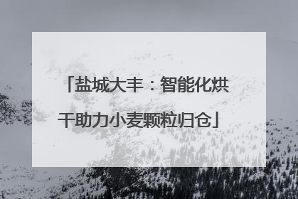 盐城大丰：智能化烘干助力小麦颗粒归仓