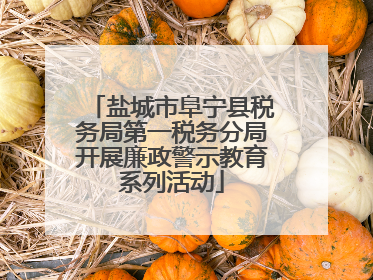 盐城市阜宁县税务局第一税务分局开展廉政警示教育系列活动