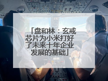 盘和林：玄戒芯片为小米打好了未来十年企业发展的基础