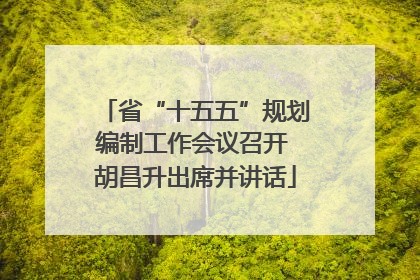 省“十五五”规划编制工作会议召开 胡昌升出席并讲话