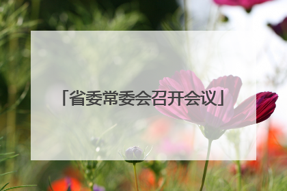 省委常委会召开会议