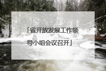 省开放发展工作领导小组会议召开