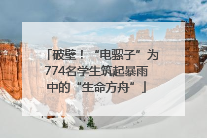 破壁！“电骡子”为774名学生筑起暴雨中的“生命方舟”