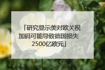研究显示美对欧关税加码可能导致德国损失2500亿欧元