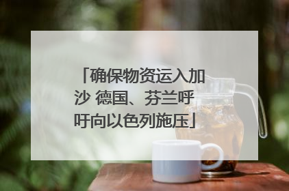 确保物资运入加沙 德国、芬兰呼吁向以色列施压