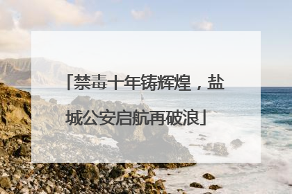 禁毒十年铸辉煌，盐城公安启航再破浪