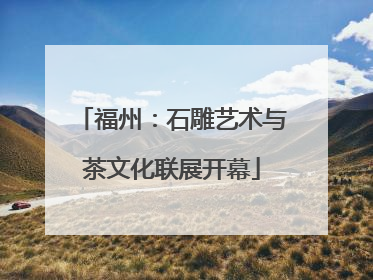 福州：石雕艺术与茶文化联展开幕