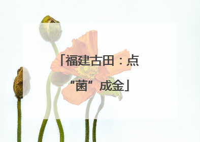 福建古田：点“菌”成金