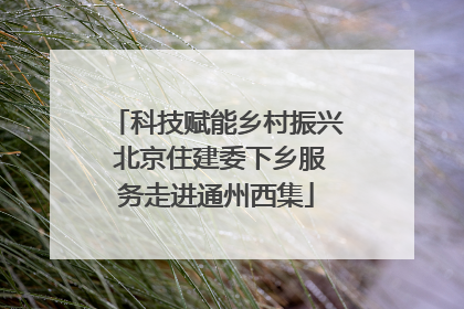 科技赋能乡村振兴 北京住建委下乡服务走进通州西集