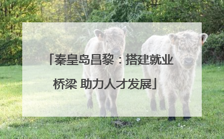 秦皇岛昌黎：搭建就业桥梁 助力人才发展