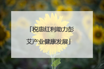 税惠红利助力彭艾产业健康发展