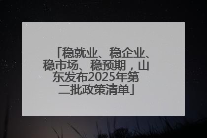 稳就业、稳企业、稳市场、稳预期，山东发布2025年第二批政策清单