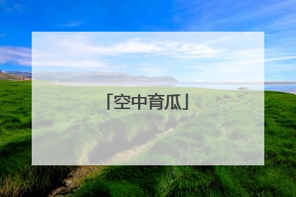 空中育瓜