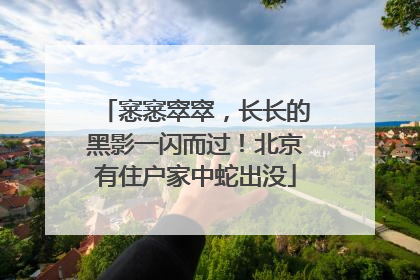 窸窸窣窣，长长的黑影一闪而过！北京有住户家中蛇出没