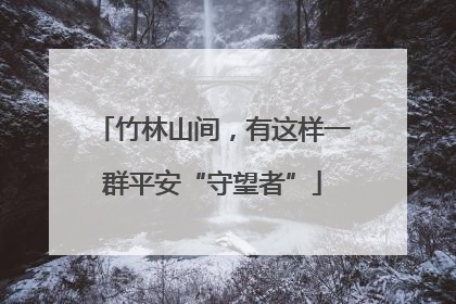 竹林山间，有这样一群平安“守望者”