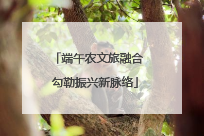端午农文旅融合 勾勒振兴新脉络