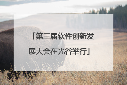 第三届软件创新发展大会在光谷举行