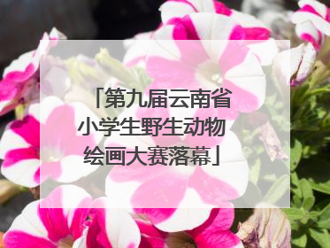 第九届云南省小学生野生动物绘画大赛落幕