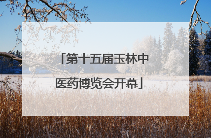 第十五届玉林中医药博览会开幕